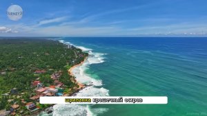 15 удивительных фактов о Шри-Ланке: самой уникальной стране Азии -  Документальный фильм