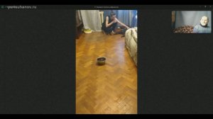 Команда «нельзя»: работа над ошибками