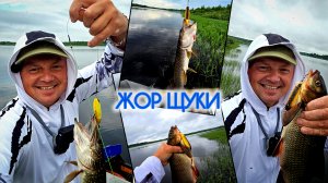 КВОКЕР КОСИТ ЩУКУ