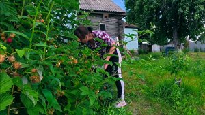 ПОКА СГУЩЕНКА ВАРИТСЯ, ЕДИМ МАЛИНУ