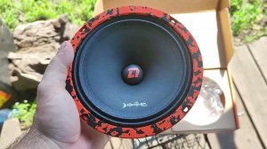 Обзор на динамики от компании DL audio  Barracuda 165