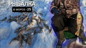 ГЛУХОЗИМЬЕ?Нет,не СЛЫШАЛИ!КЛЁВ ОКУНЯ как из ПУЛЕМЁТА!!РЫБАЛКА В МОРОЗ -25!!