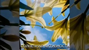 СОЛНЕЧНАЯ АКТИВНОСТЬ и НАШЕ СОСТОЯНИЕ