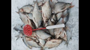 Подлещик на мормышку в минус 20 градусов, отчёт № 435