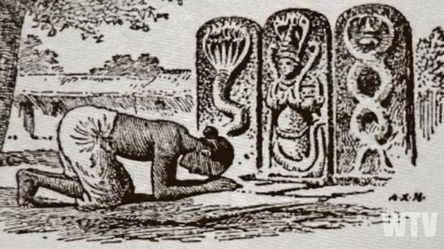 What You Need To Know About The REPTILIAN ALIEN RACE .mp4 смотреть онлайн
