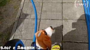 Влог с Джонни :3