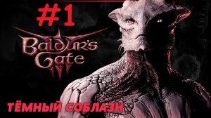 Baldur's Gate 3: Тёмный Соблазн. Прохождение - Выпуск #1