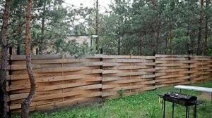 Сауна в соснах