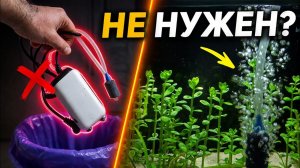 Тебя ОБМАНУЛИ: компрессор в аквариуме НЕ НУЖЕН?