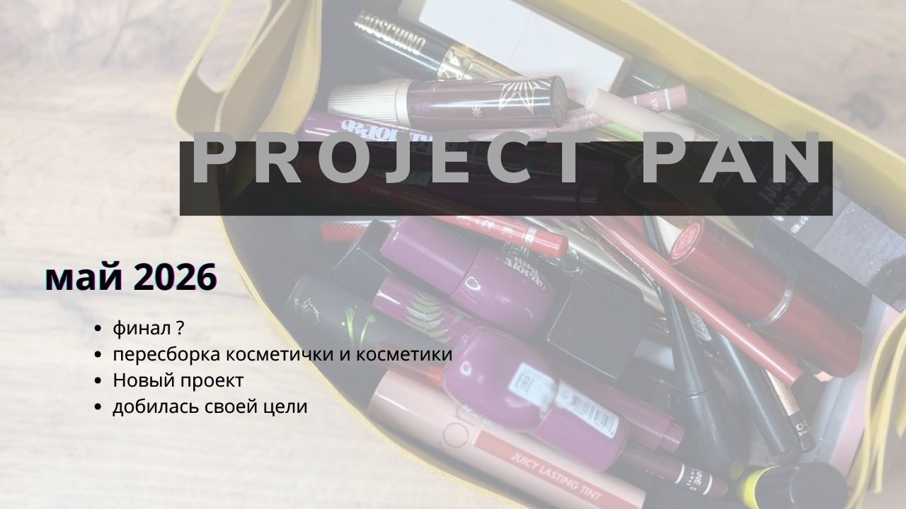 Project pan отчет за Май 2026 | Финал проекта? | Пересборка | Новая идея смотреть онлайн