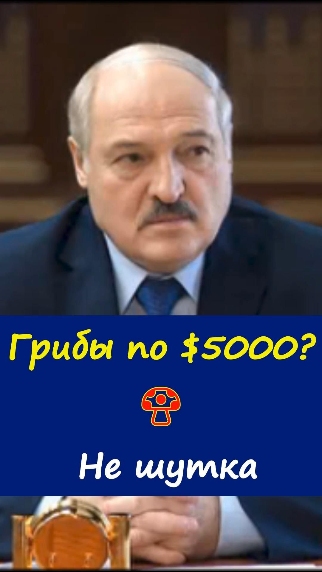 🍄Лукашенко рассказал историю, которая многих удивит.https://t.me/marina_pro_bizz   #деньги #доход