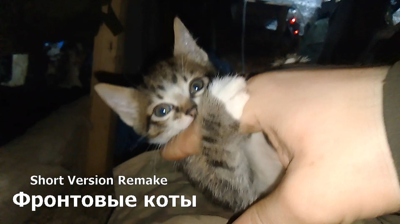 Фронтовые коты (Short Version Remake) смотреть онлайн
