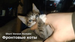 Фронтовые коты (Short Version Remake)