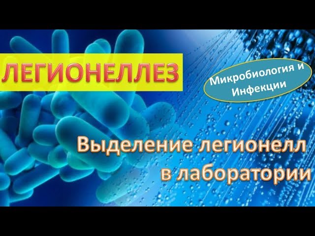 Возбудитель легионеллеза. Выделение легионелл в лаборатории. Практикум смотреть онлайн