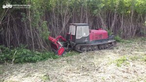 Чистим на СГМ ПРО 330 сильно залесенный участок для строителей. ТЛП 4М на 330 лс с мульчером