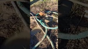 абиссинская скважина в д.Мукино адские поглощения. разведка часть первая.