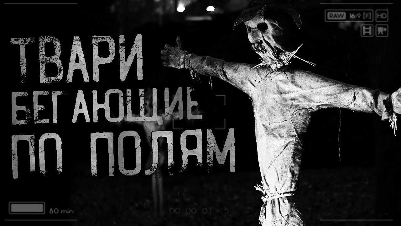 Страшные истории на ночь - Тв*ри бегающие по полям! Страшилки на ночь! Ужасы,мистика! смотреть онлайн