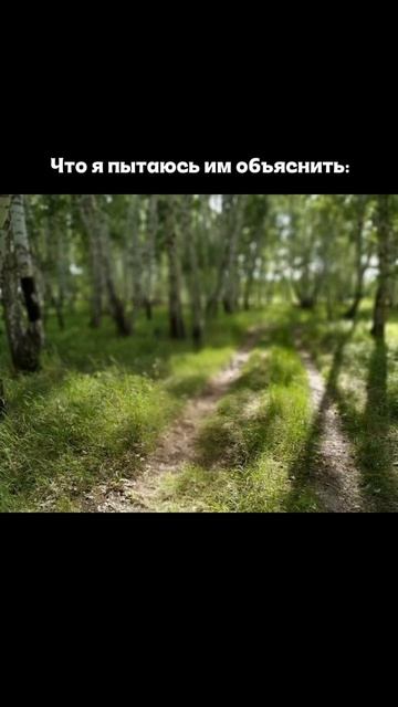 Лето в самом разгаре