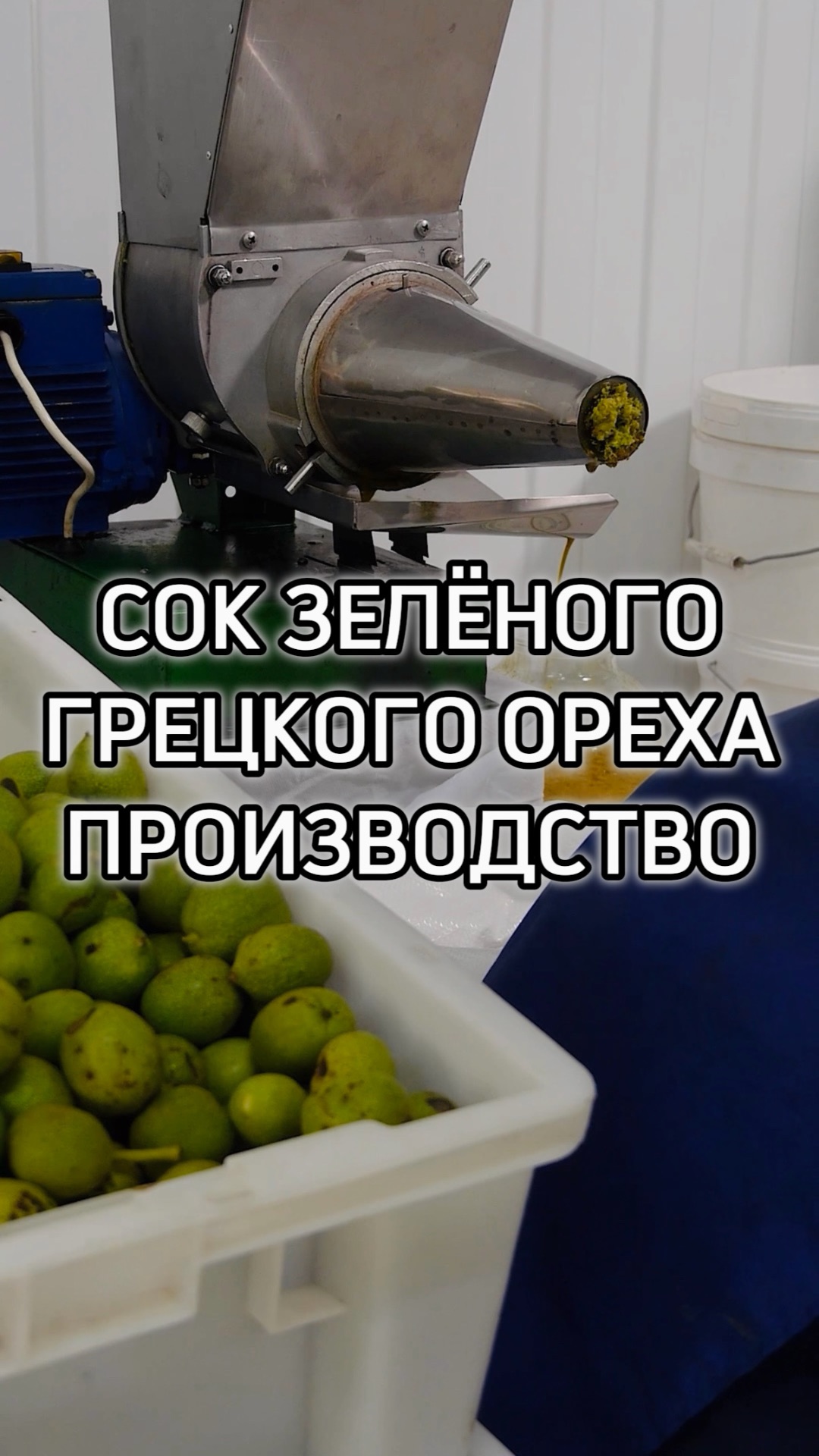 Сок зелёного грецкого ореха производство