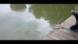 1000054691.mp4