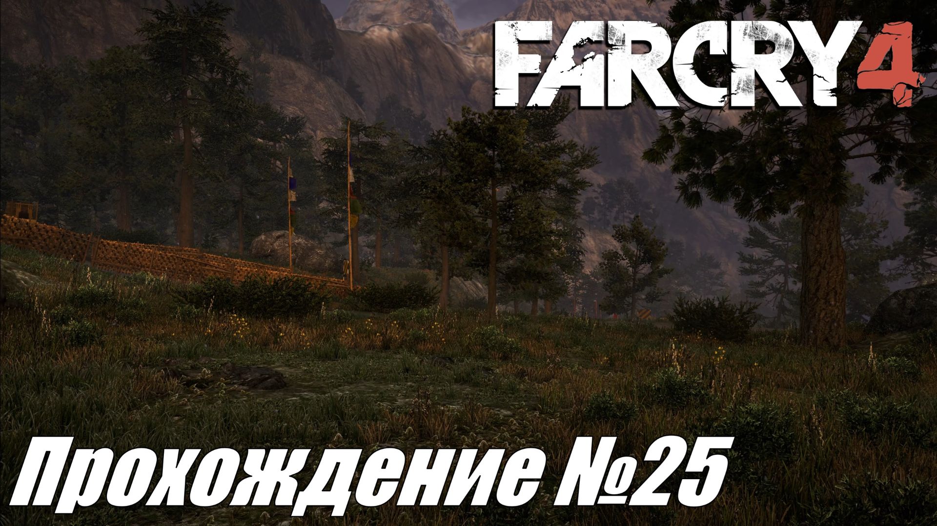 Far Cry 4 ► Прохождение