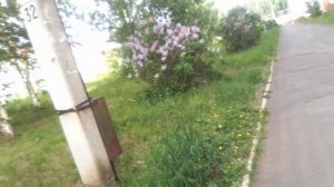 27.6+ карта Сбер. МИР 2202 2084 1004 7766