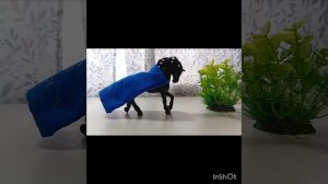 Вызов принят ! 🐴🦄🐎
