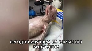 Вы ДОЛЖНЫ это увидеть! Они НЕ ТЕ, кем мы их считали: Ученые НАКОНЕЦ-ТО нашли ПЕРВОГО пришельца