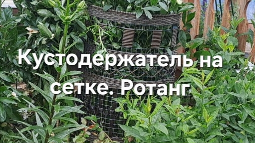 Кустодержатель на сетке. Ротанг смотреть онлайн