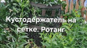 Кустодержатель на сетке. Ротанг
