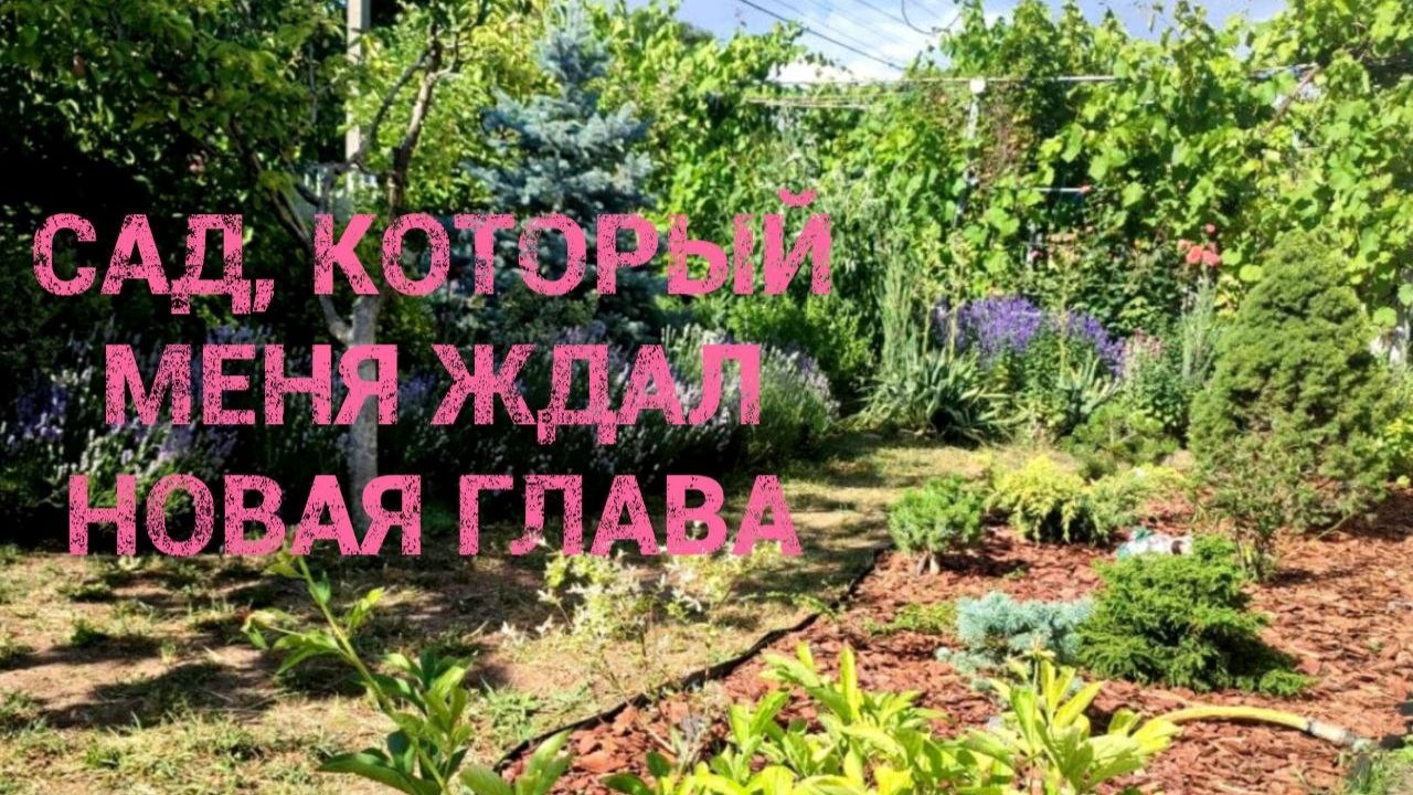 Из города в ДЕРЕВНЮ #3 ЧТО СКРЫВАЕТСЯ ЗА КАЛИТКОЙ_ мой новый сад. Каким он меня встретил