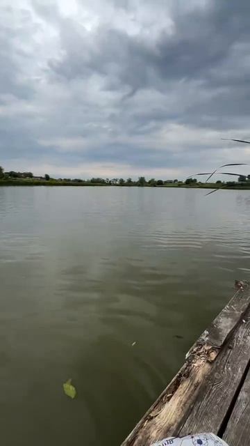 Пора на рыбалку смотреть онлайн