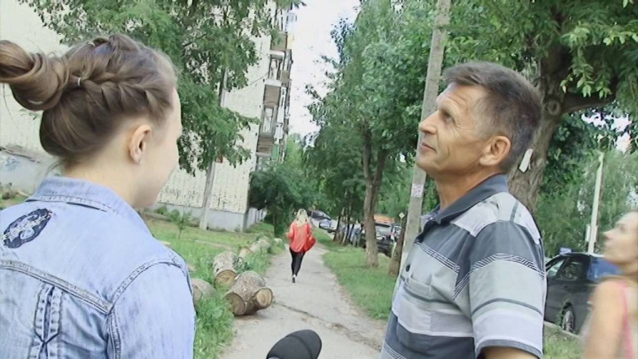 Кот на дереве. Вятка Today 27.06.2016 смотреть онлайн