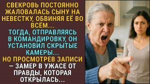 Оставив скрытую камеру перед отъездом, муж узнал правду, которая шокировала... СЛУШАТЬ РАССКАЗЫ