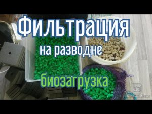 Наша фильтрация. Фильтрация в нерестовике. Внешний и внутренний биофильтр.