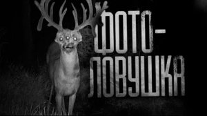 ФОТОЛОВУШКА... Страшные истории на ночь.