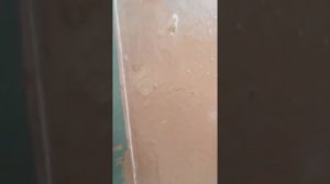 прогулка по домофонам у моего дома