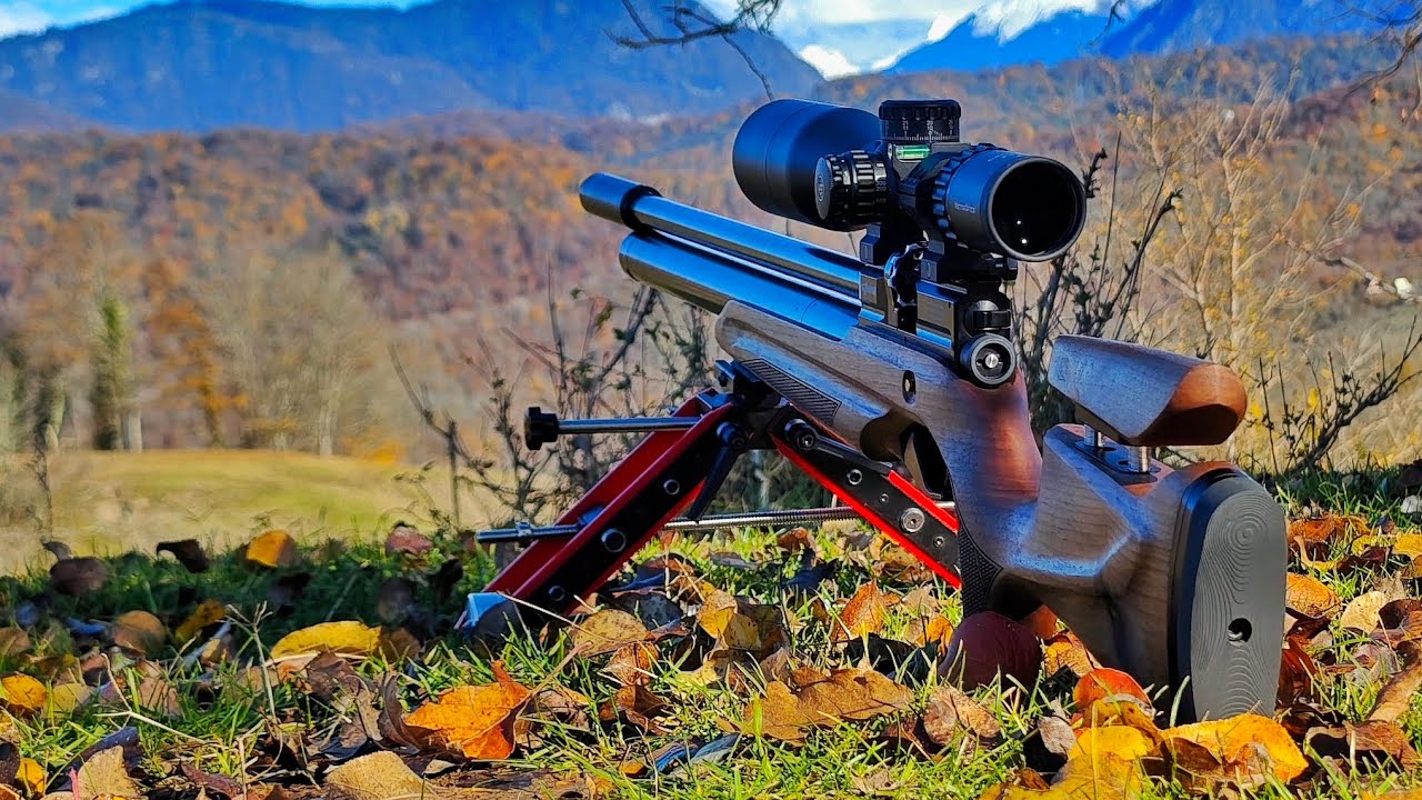 Обзор Прицела Vector Optics Continental 4-24x56 FFP о ОТСТРЕЛ С АТАМАНА М20 НА 25.0 ЧЕРЕЗ НЕГО! смотреть онлайн