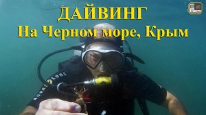 ДАЙВИНГ НА ЧЕРНОМ МОРЕ! КРЫМ, Феодосия. Съемка на GoPRO камеру.