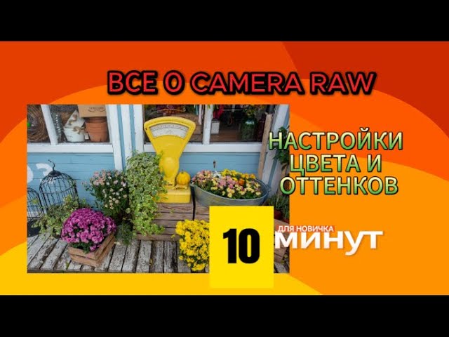 Самоучитель Camera RAW - Настройка цвета и оттенков смотреть онлайн