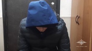 Ирина Волк: Полицейскими Подмосковья задержан подозреваемый в серии телефонных мошенничеств