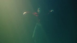 Из сериала нового приключения.фэнтези