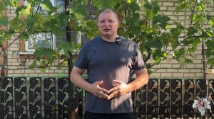 Внимание! ВСПЫШКА ОИДИУМА! Спасайте Виноград | ЧТО ДЕЛАТЬ прямо СЕЙЧАС