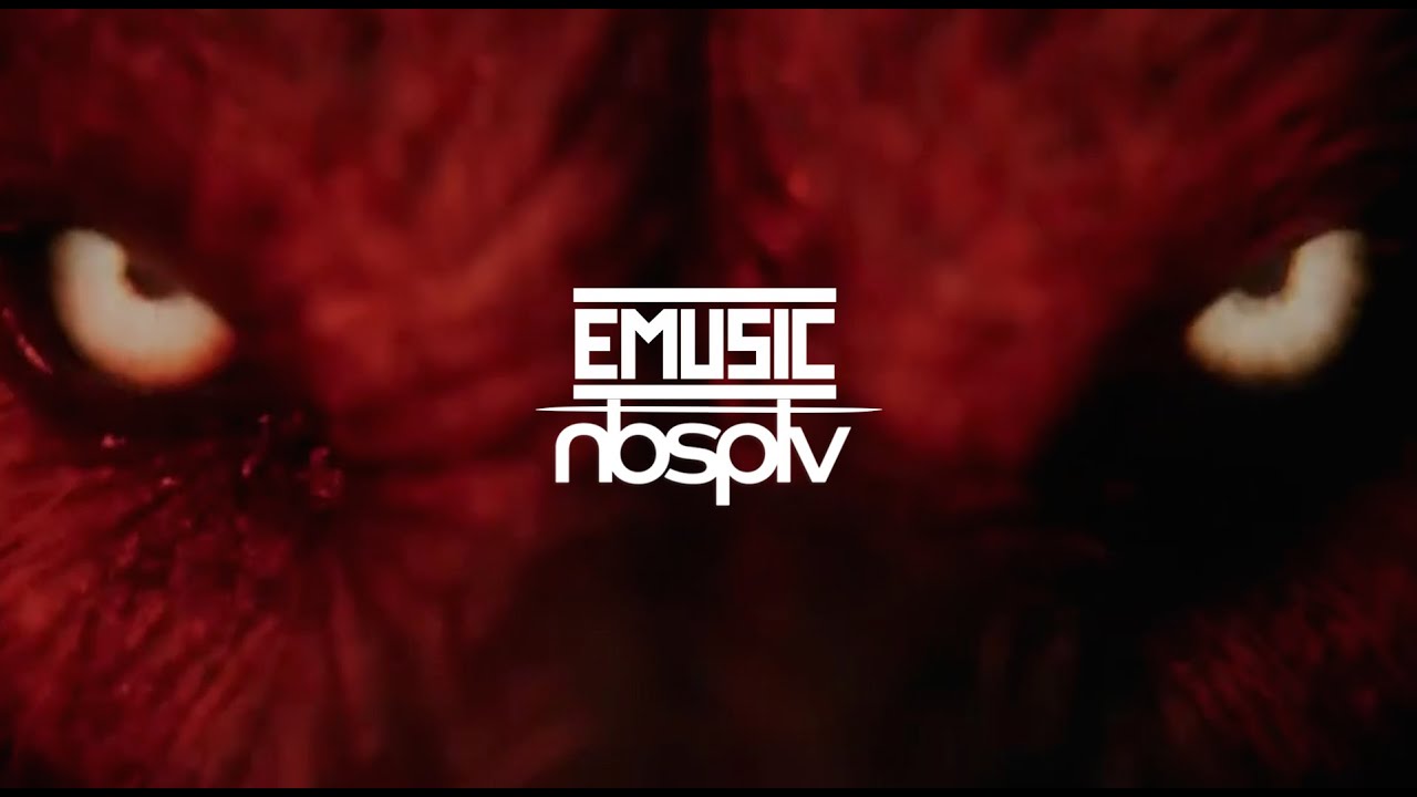 #NBSPLV 2020 - ВСЕ ТРЕКИ + БОНУС ВИДЕО 🔥🔥🔥 Psychedelic Wolf (New Nbsplv Music Video / Full Tracks)