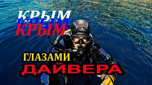 Дайвинг в Крыму. Что Происходит НА Дне Черного Моря?
