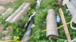 ✅ Ливневка проложили на участке, служит как дренаж, один из основных элементов- это труба.