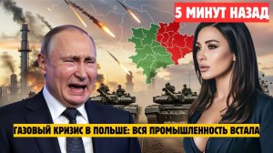 Газовый парадокс: отказ от России - 70% падение производства НОВОСТИ РОССИИ