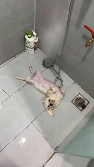 Утренний душ 😅