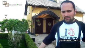 Высаживаем однолетние цветы на участке