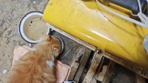 Санузел в гараже мечты, доступный каждому! Без скважины и септика. 1 серия